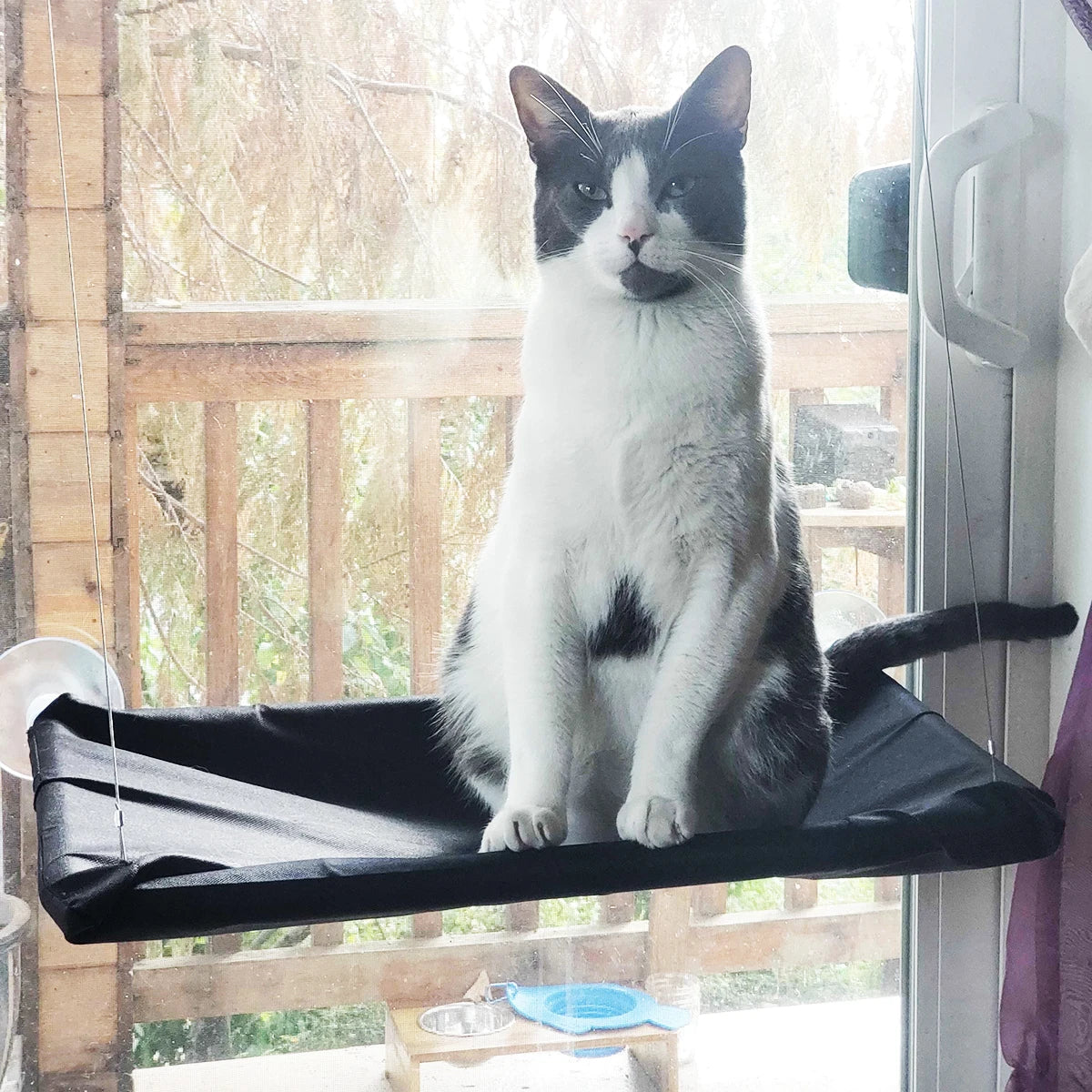 kedi yatağı enteresan