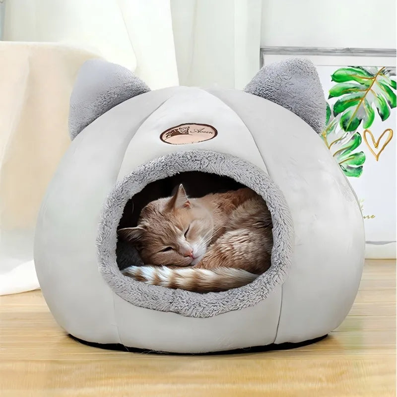 Kedi Yatakları