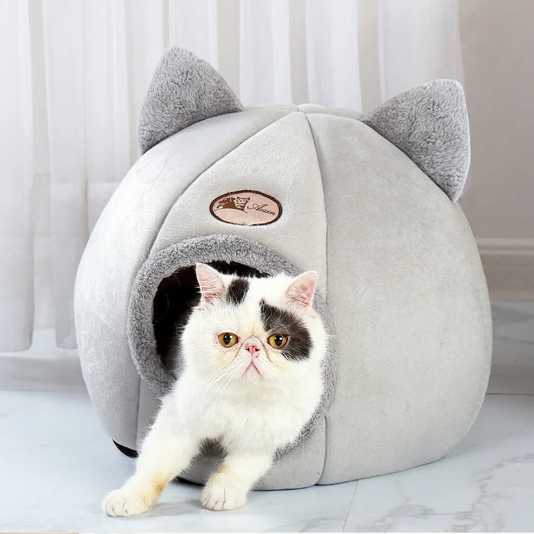 Kedi Yatakları