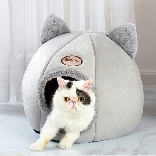 Kedi Yatakları