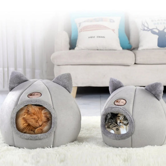 Kedi Yatakları
