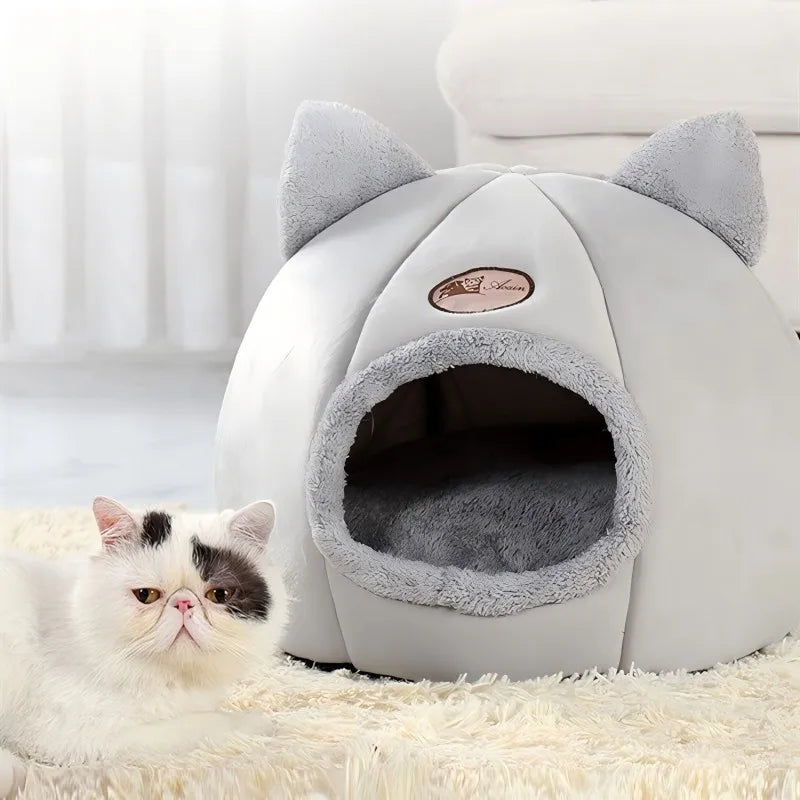 Kedi Yatakları
